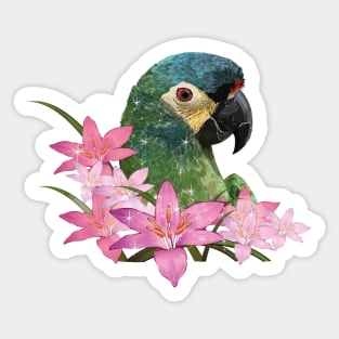 Severe Macaw Sticker